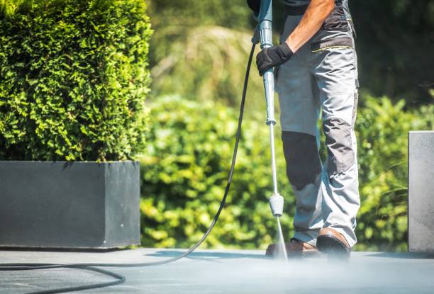 Best Animal Enclosure Cleaning  in Midland Park, NJ